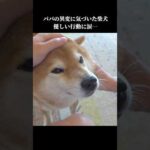 柴犬はパパの異変に気づき、優しい姿を見せてくれて…(YouTube)