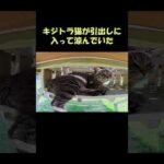 キジトラ猫が引出しに入って涼んでいた #猫 #ねこ #cat(YouTube)