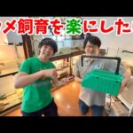 新しくお迎えしたカメの飼育環境を作るためにカメ水槽飼育の専門家のセンターテイルさんの研究所に行ってきました(YouTube)