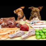 犬のASMR!!豪快に噛み砕くピットブルの咀嚼音がクセになる牛タン アヒルの頭 牛の肋軟骨 馬の肺 ブロッコリー サーモン うずらのたまご(YouTube)