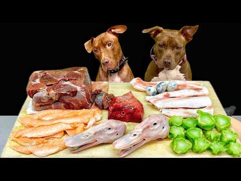 犬のASMR!!豪快に噛み砕くピットブルの咀嚼音がクセになる牛タン アヒルの頭 牛の肋軟骨 馬の肺 ブロッコリー サーモン うずらのたまご(YouTube)