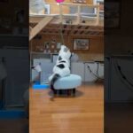 オラ、オラオラ、オラ、オラ、オラオラオラ、何？(YouTube)