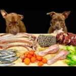 中毒性あり!!ピットブルが骨付き肉をボリボリ噛み砕く咀嚼(YouTube)