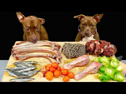 中毒性あり!!ピットブルが骨付き肉をボリボリ噛み砕く咀嚼(YouTube)