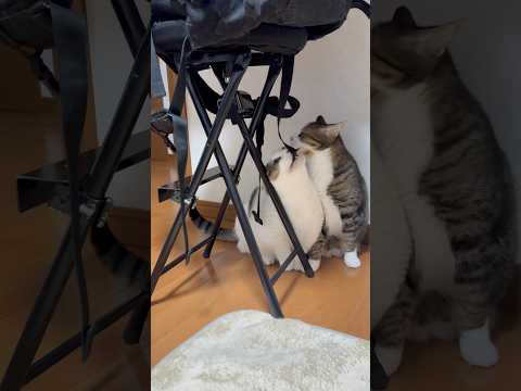 手使ったらええのに(YouTube)