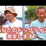 【耳寄りのお知らせ】5月26日大阪城公園に来てください！(YouTube)
