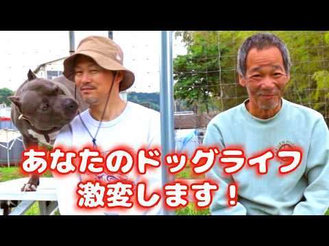 【耳寄りのお知らせ】5月26日大阪城公園に来てください！(YouTube)