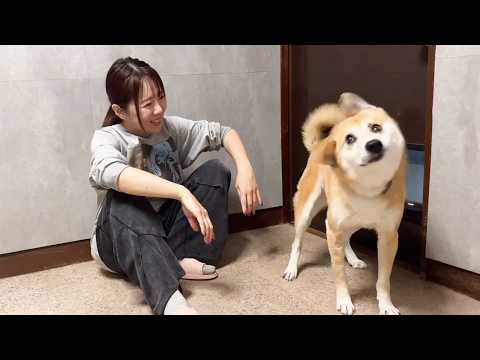 もうすぐ病院のジョン君にサプライズプレゼント(YouTube)