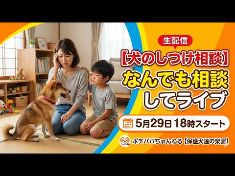 【しつけ相談】なんでも相談してライブ5月29日18時スタート(YouTube)