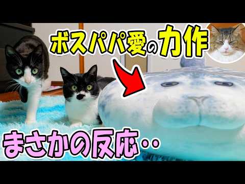 3週間ぶりに帰宅した娘達に愛の力作を完全無視されブチギレるボス猫パパが面白すぎたｗ(YouTube)