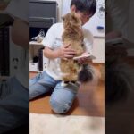 お父さん、大好きです(YouTube)
