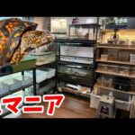 【お宅訪問】カメにはまって新築の家に専用部屋を作ったマニアがヤバすぎた…!!!(YouTube)