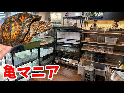 【お宅訪問】カメにはまって新築の家に専用部屋を作ったマニアがヤバすぎた…!!!(YouTube)