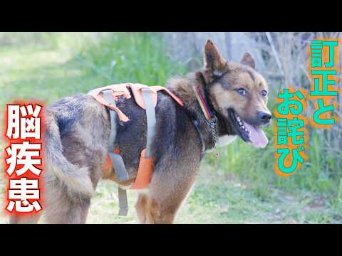 【脳疾患】前回動画のお詫びと訂正と今後治療の方向性(YouTube)