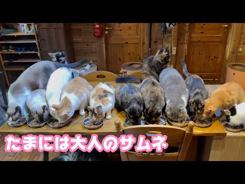 たまにはサ大人のサムネイル  並んで食べます  AIは一切使ってませんよ～   2026 05 23 2(YouTube)