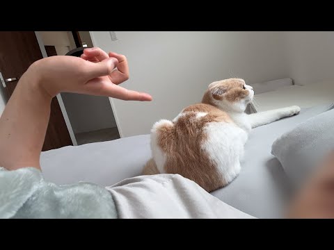 はなの背中を不意打ちでつんつんしたら反応が可愛すぎましたwww(YouTube)