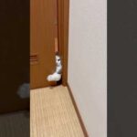 どうやって中はいったん、なぁ、(YouTube)