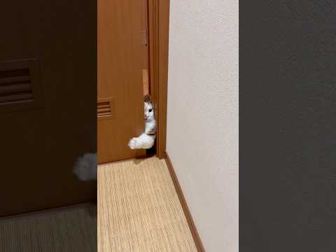 どうやって中はいったん、なぁ、(YouTube)