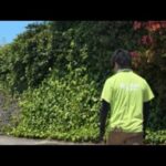 日曜日の動物園ライブ‼️(YouTube)