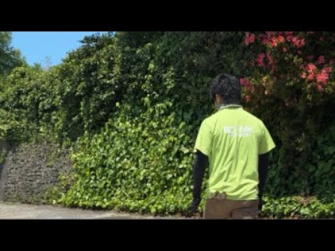 日曜日の動物園ライブ‼️(YouTube)