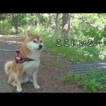 外出先で怖いことが起きました(YouTube)