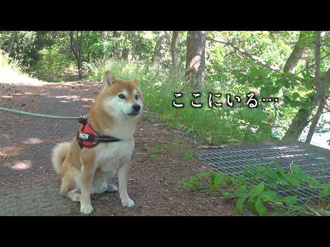 外出先で怖いことが起きました(YouTube)