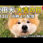 大吉の日5月3日16時より配信(YouTube)