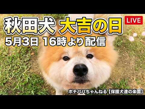 大吉の日5月3日16時より配信(YouTube)