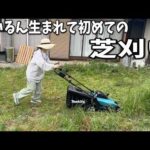 最高な老犬ホームを作りたい。自分たちでできる事とは(YouTube)