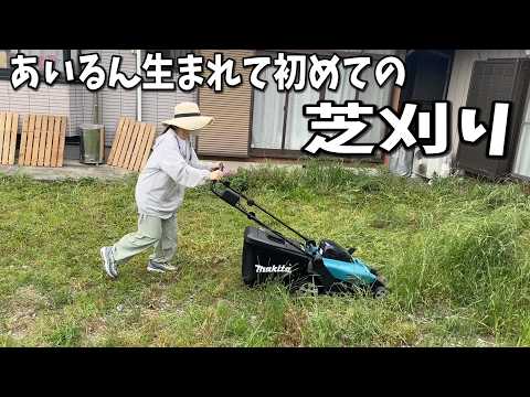 最高な老犬ホームを作りたい。自分たちでできる事とは(YouTube)