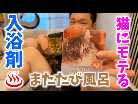 猫にモテるまたたび風呂に入ってみたら効果が・・・？！(YouTube)