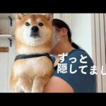 事故以来、ずっと隠していた朝があります。(YouTube)