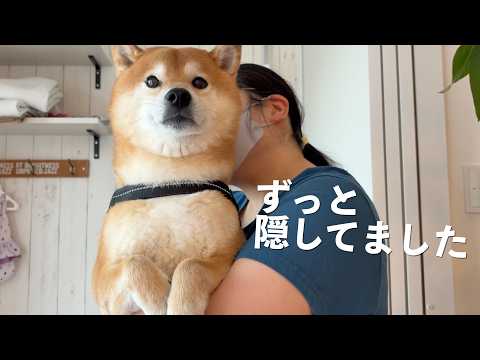 事故以来、ずっと隠していた朝があります。(YouTube)