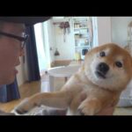 この日、涙が止まりませんでした。(YouTube)