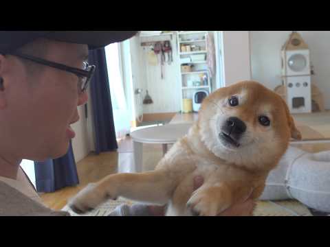 この日、涙が止まりませんでした。(YouTube)