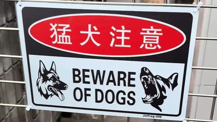 『猛犬注意の看板』があったので、覗いた結果→下の方を見ると…思っていたのと違う光景に爆笑の声「かわいすぎる猛犬ｗ」「笑いましたｗｗ」(ブログ)