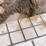 雨上がり『やけに大型犬が静かだな』と思い探した結果→お庭で遊んでいて…思わず叫びたくなる『絶望の光景』に反響「タヌキで草」「怒れないｗ」(ブログ)