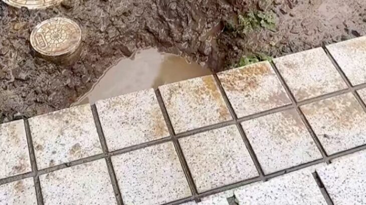 雨上がり『やけに大型犬が静かだな』と思い探した結果→お庭で遊んでいて…思わず叫びたくなる『絶望の光景』に反響「タヌキで草」「怒れないｗ」(ブログ)