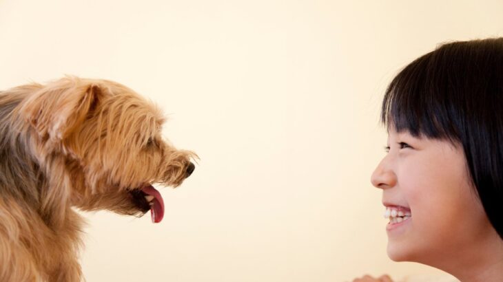 犬に絶対NGな『アイコンタクト』５選　恐怖や不安を与える可能性も…避けるべき理由まで解説(ブログ)