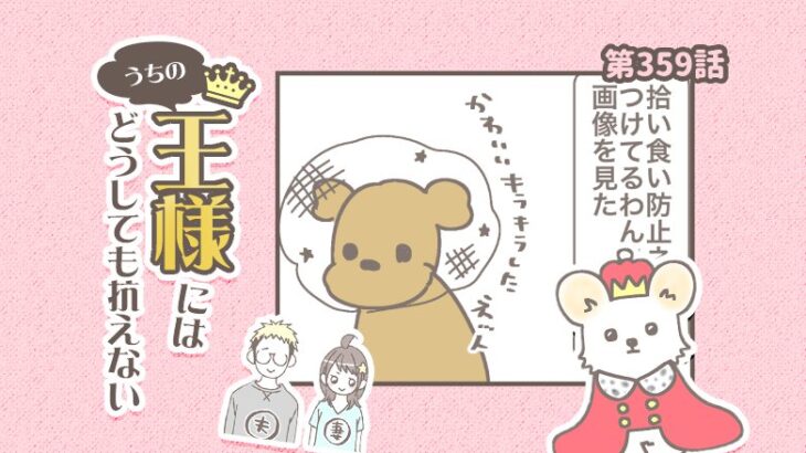 うちの王様にはどうしても抗えない【第359話】「拾い食い」(ブログ)
