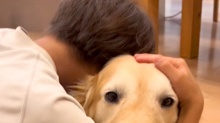 息子が泣いていると『大型犬』が必ず心配をしてくれて…あまりにも尊い『家族愛に溢れた記録』が23万再生「泣けてきた…」「セラピー犬だね」(ブログ)