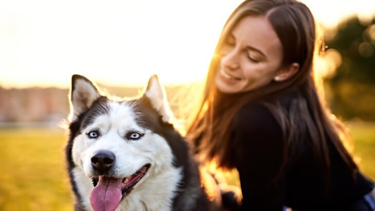 『大型犬』の知られざる6つの魅力　飼っている人にしか分からない見た目とのギャップまで(ブログ)