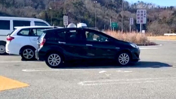 車の運転中、トイレのためパーキングに寄った結果→戻ると大型犬が『運転席』にいて…まさかの光景が11万再生「カッコよくて草」「運転しそう」(ブログ)