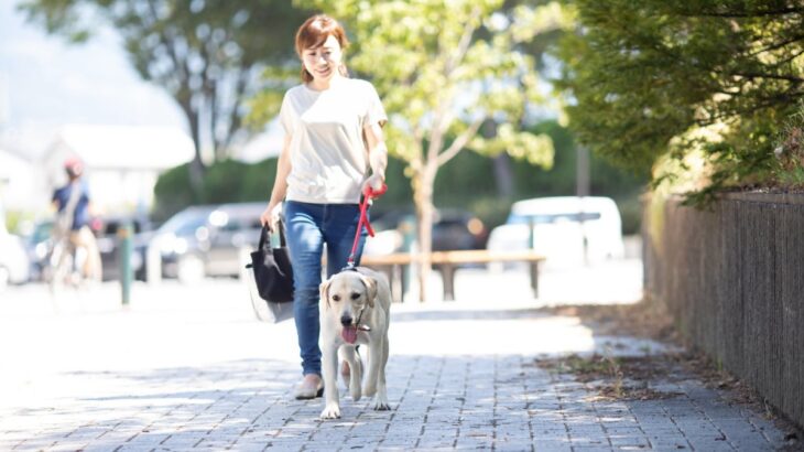 犬の『拾い食い』による死亡事故5つ　実際に報告されている事例や予防策まで(ブログ)