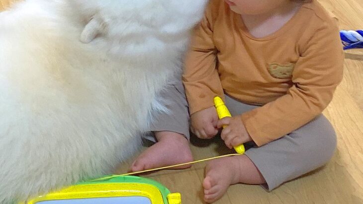 赤ちゃんが生まれた時からずっとそばにいる大型犬→思った以上に『クセの強い見守り方』が32万表示「アザラシ味がすごいｗ」「角度に笑った」(ブログ)