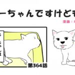 ちーちゃんですけどもっ【第364話】「今を大切に」(ブログ)