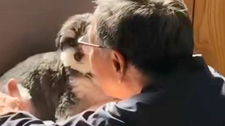 『犬だけは絶対に飼うな』と言っていた父→飼い始めてみると、ふたりで…嘘のような『現在の光景』に胸打たれると反響「泣ける」「やばい感動」(ブログ)