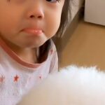 朝、3歳の女の子が『寝ている犬を起こそうとした』結果→反応がなく『死んでしまった』と勘違いして…愛に溢れた光景が52万再生「演技派ｗ」(ブログ)