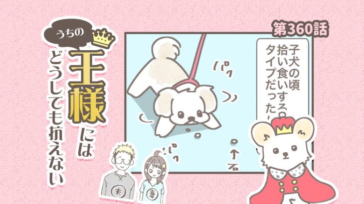 うちの王様にはどうしても抗えない【第360話】「拾い食い②」(ブログ)