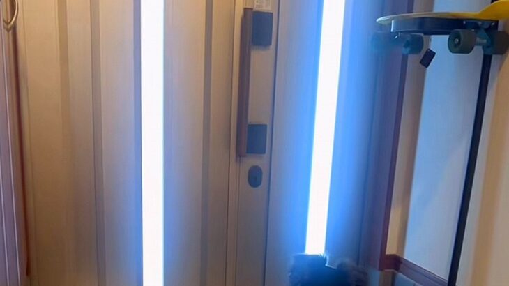 おばあちゃんと電話していたら、2匹の犬が察して…玄関で見せた『愛おしすぎる待ち姿』が7万再生「健気でかわいい」「大好きなのがわかる」(ブログ)